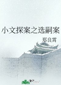 小文探案之選嗣案